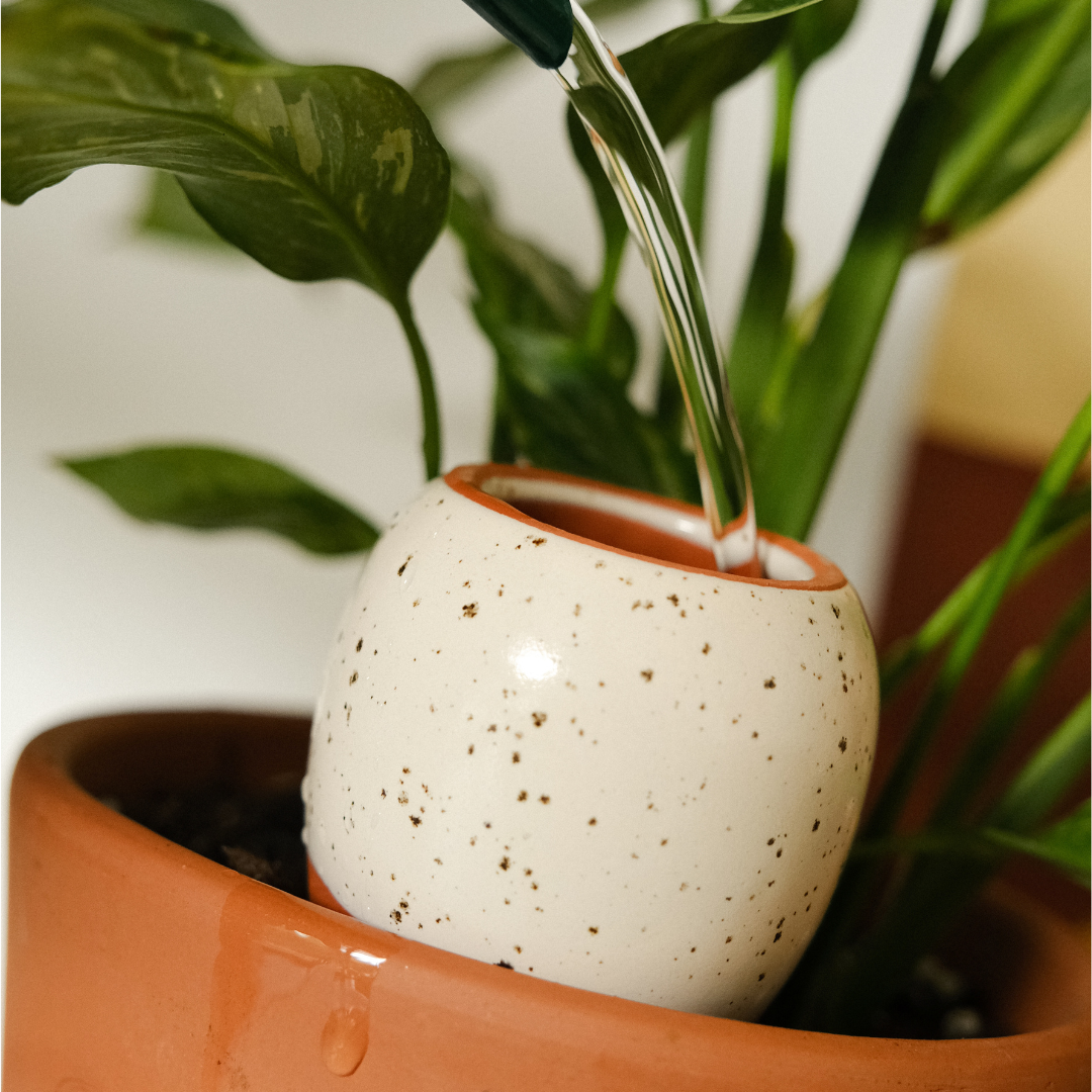 NATURAL TRIO | 3er Set Mini Olla Wasserspender
