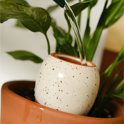 NATURAL TRIO | 3er Set Mini Olla Wasserspender