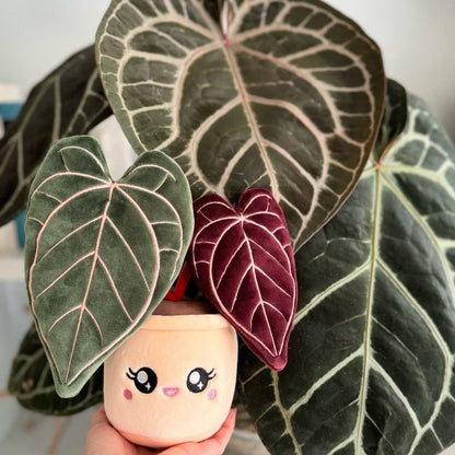 ANTHURIUM CRYSTALLINUM | Stuffed plant toy