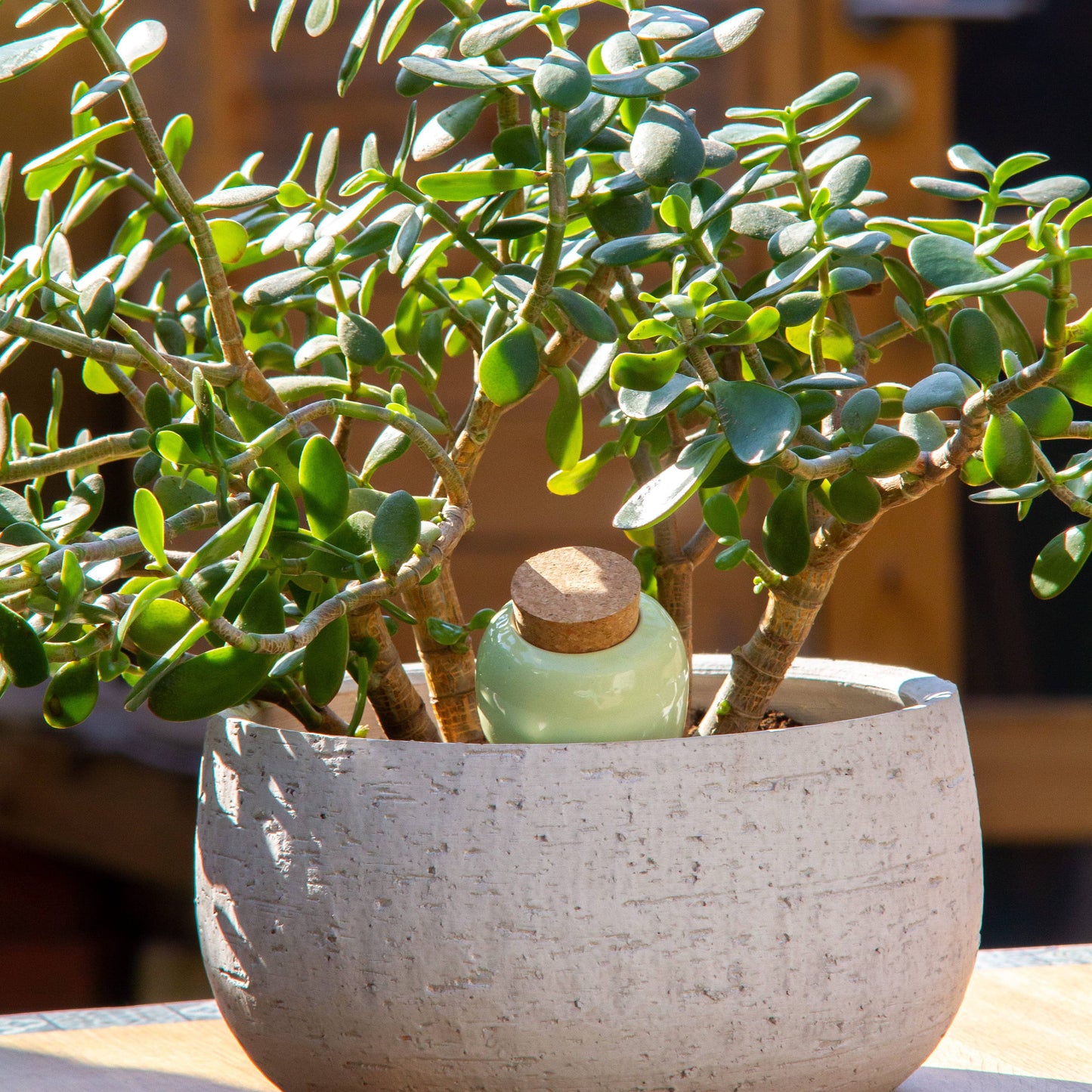 REFRESHING GREEN | Olla Wasserspender