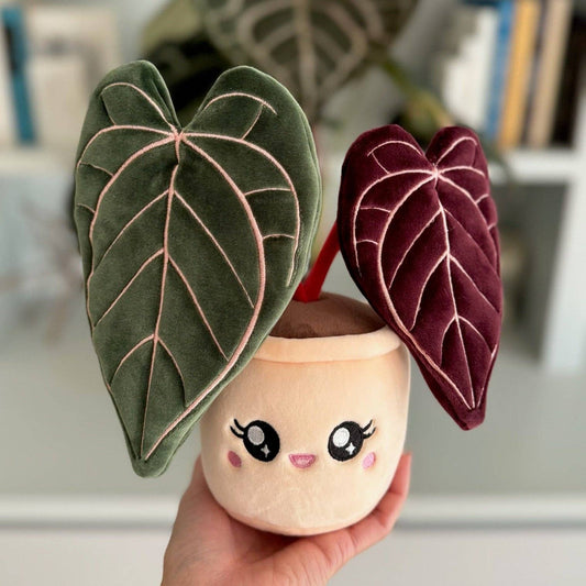 ANTHURIUM CRYSTALLINUM | Pflanzenstofftier