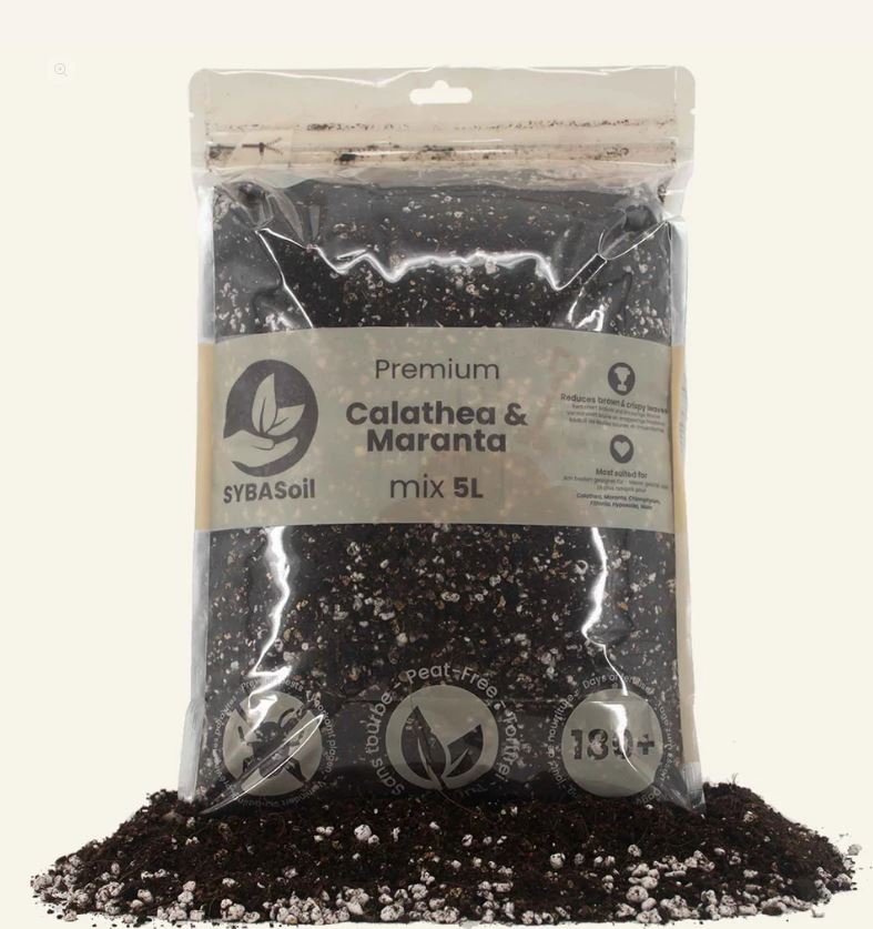 CALATHEA & MARANTA MIX 5L | Substrat für Calatheas & Maranten