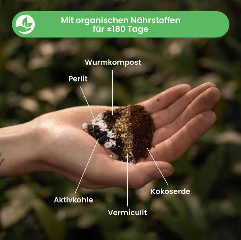 CALATHEA & MARANTA MIX 5L | Substrat für Calatheas & Maranten