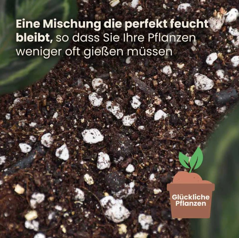 CALATHEA & MARANTA MIX 5L | Substrat für Calatheas & Maranten