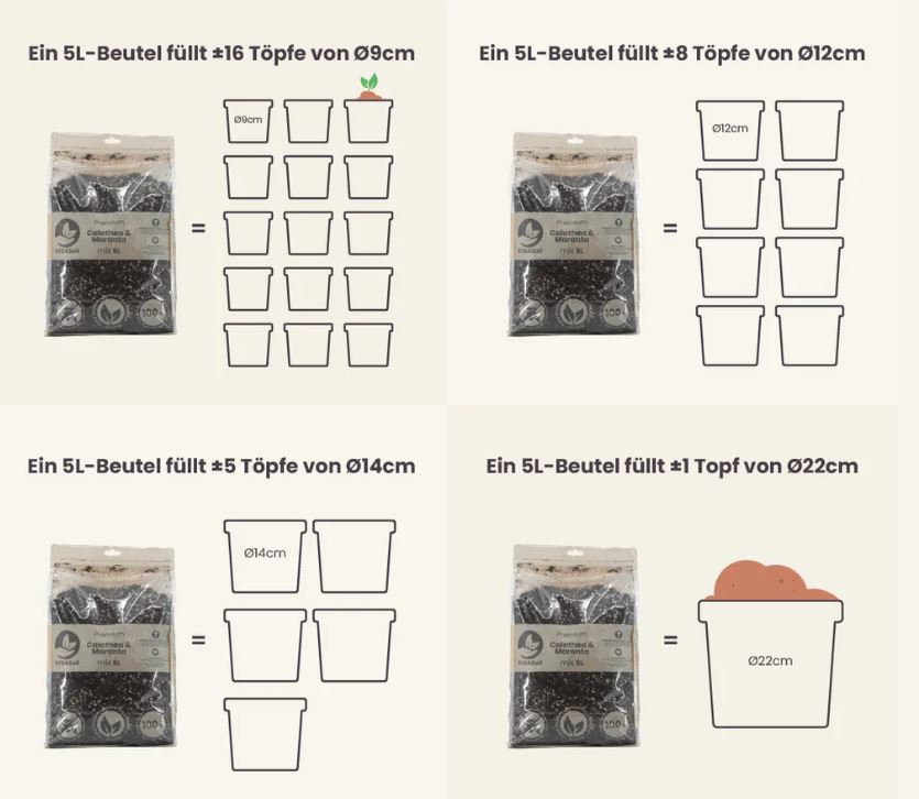 CALATHEA & MARANTA MIX 5L | Substrat für Calatheas & Maranten