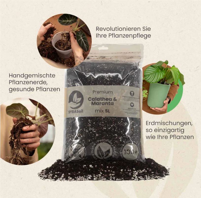 CALATHEA & MARANTA MIX 5L | Substrat für Calatheas & Maranten
