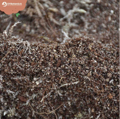 CARNIVOREN MIX 5L | Substrat für fleischfressende Pflanzen