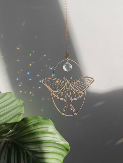 LUNA MOTH | Handmade suncatcher with glass crystal &amp; wood design
