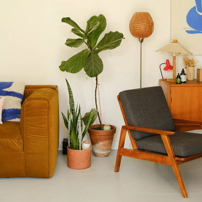 RED & ROSE | Olla Wasserspender