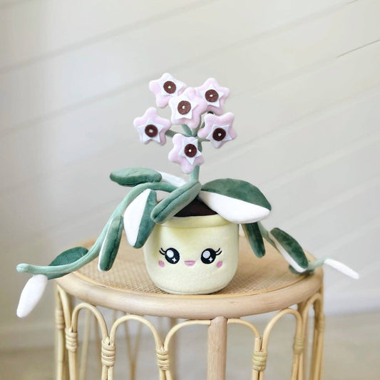 HOYA CARNOSA KRIMSON QUEEN | Pflanzenstofftier
