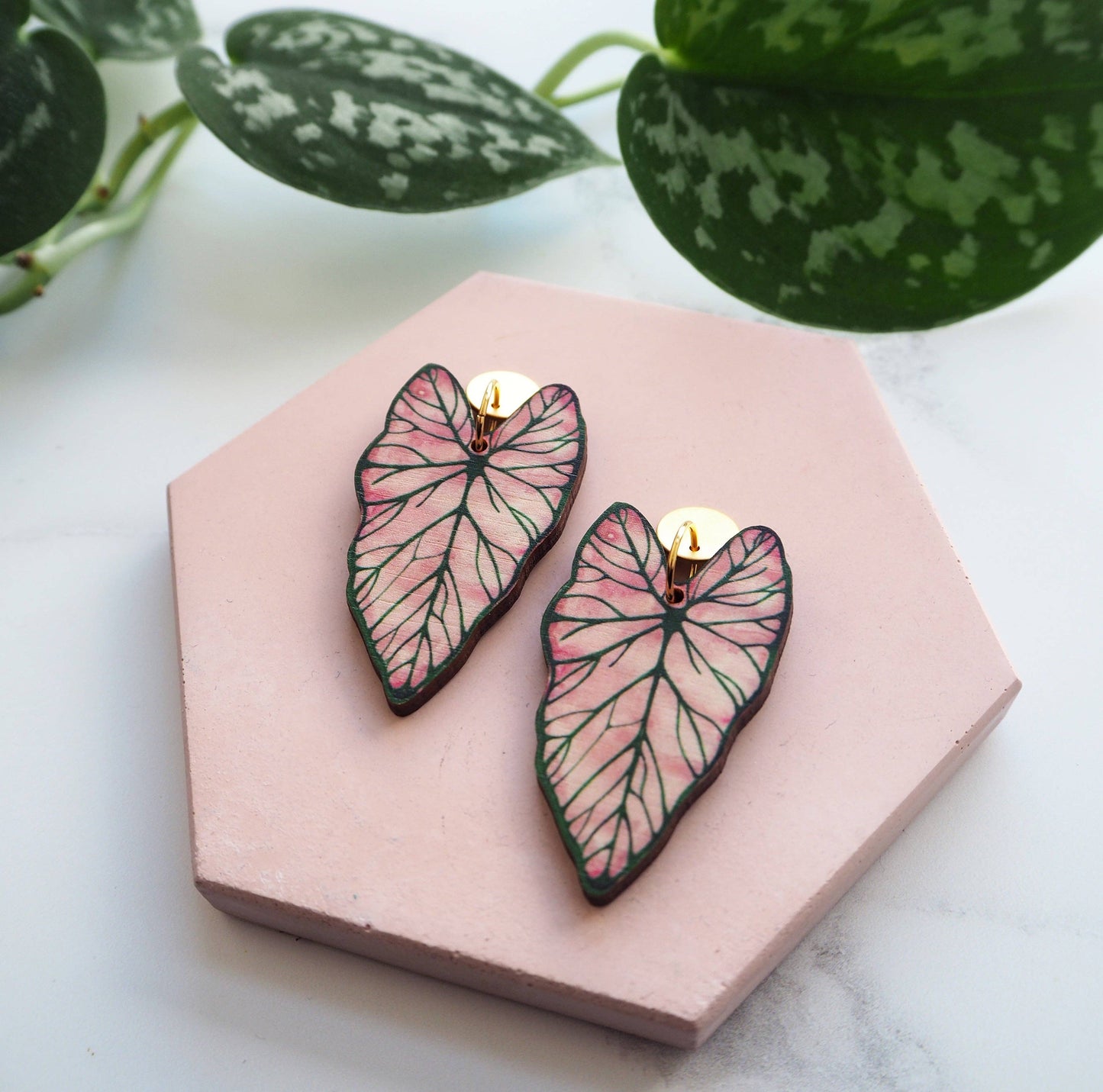 CALADIUM OHRRINGE | GOLD