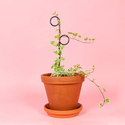PERCH | Black trellis