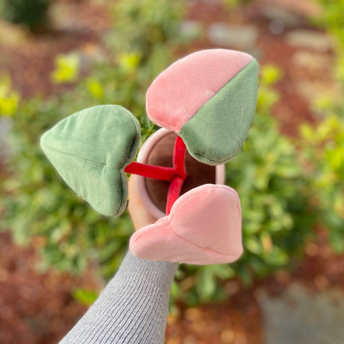 PHILODENDRON PINK PRINCESS | Stuffed plant toy
