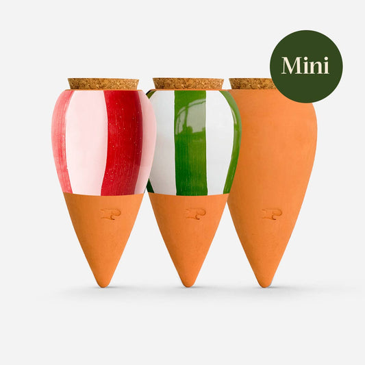 STRIPED TRIO | 3er Set Mini Olla Wasserspender
