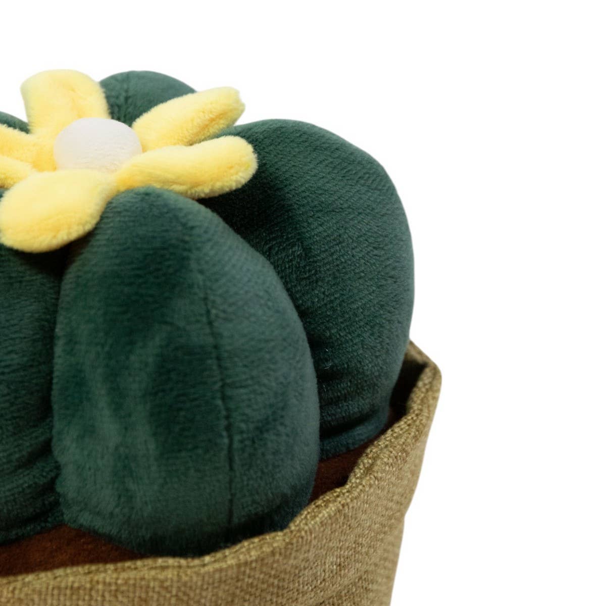 Butoir de porte en cactus