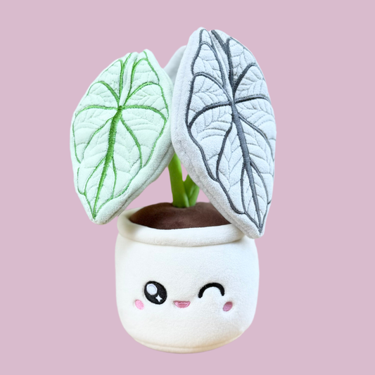 ALOCASIA SILVER DRAGON | Pflanzenplüschtier