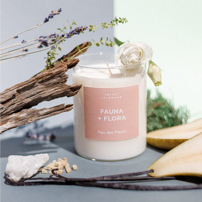 FAUNA + FLORA DUFTKERZE