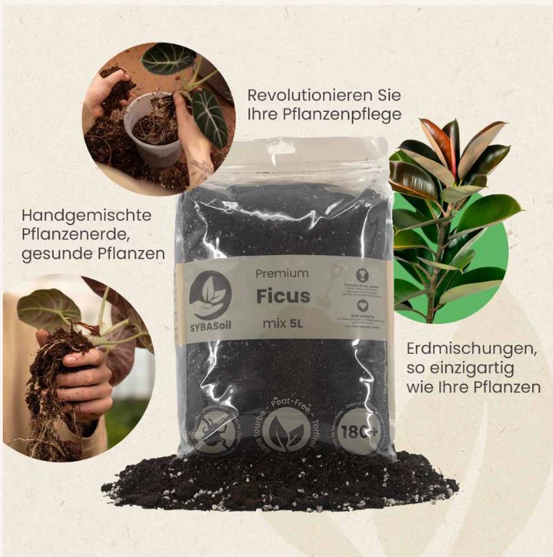 HOYA MIX 5L | Substrat für Hoyas