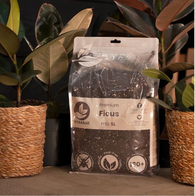 FICUS MIX 5L | Substrat für Feigenbäume