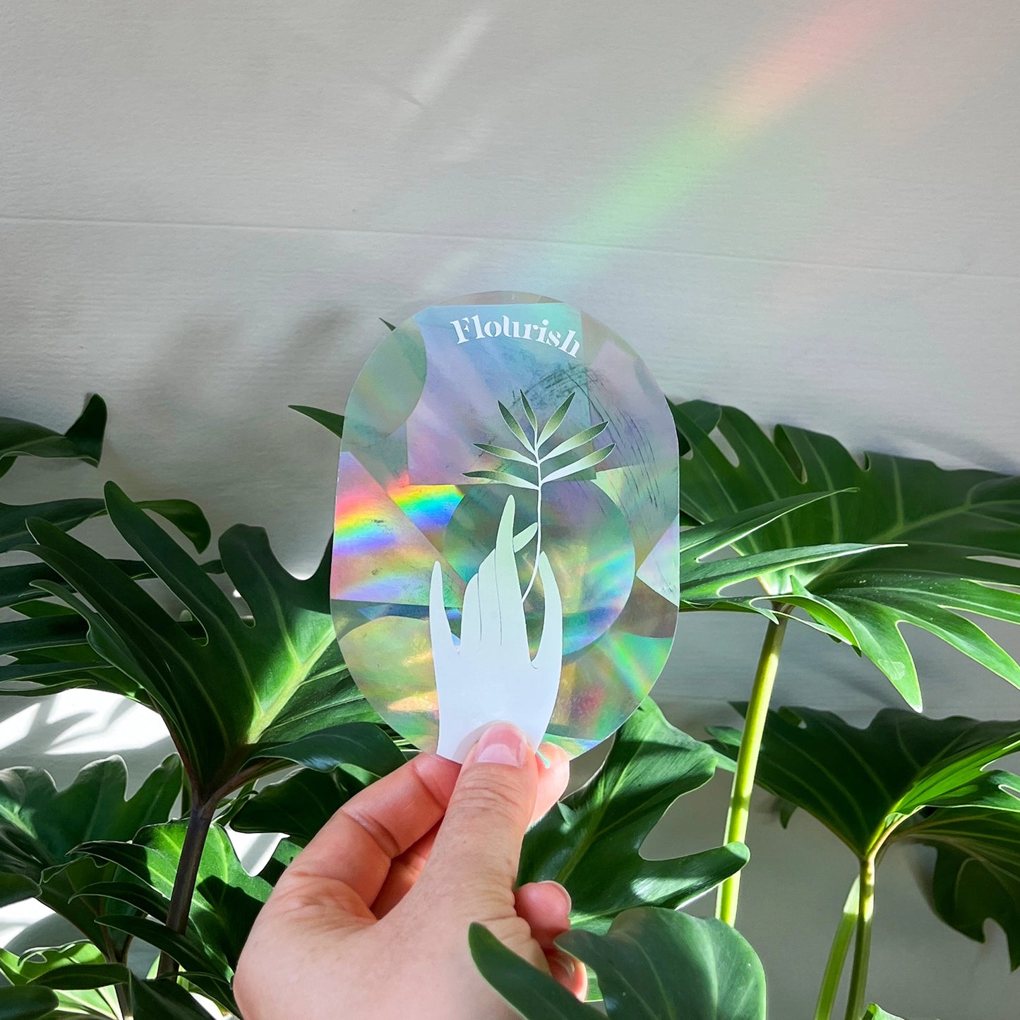 FLOURISH | Suncatcher Sticker für Regenbögen