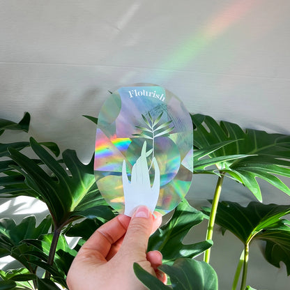 FLOURISH | Suncatcher Sticker für Regenbögen