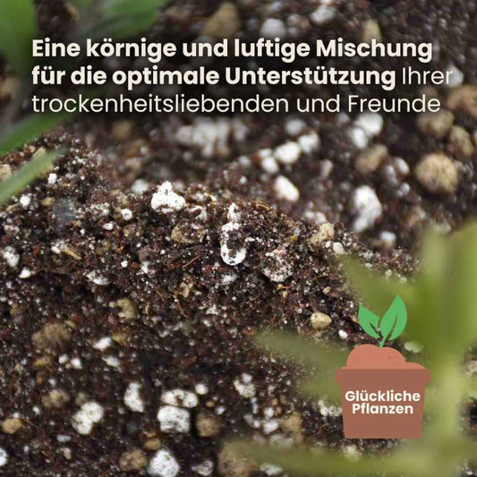 CACTI & SUCCULENTS MIX 5L | Substrate for Aloe, Sansevieria, Ceropegia, Cacti & Succulents