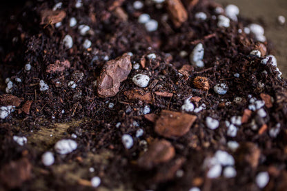 SUPREME AROID MIX 8,5L | Premium Substrat für Aroids von Plantscraper