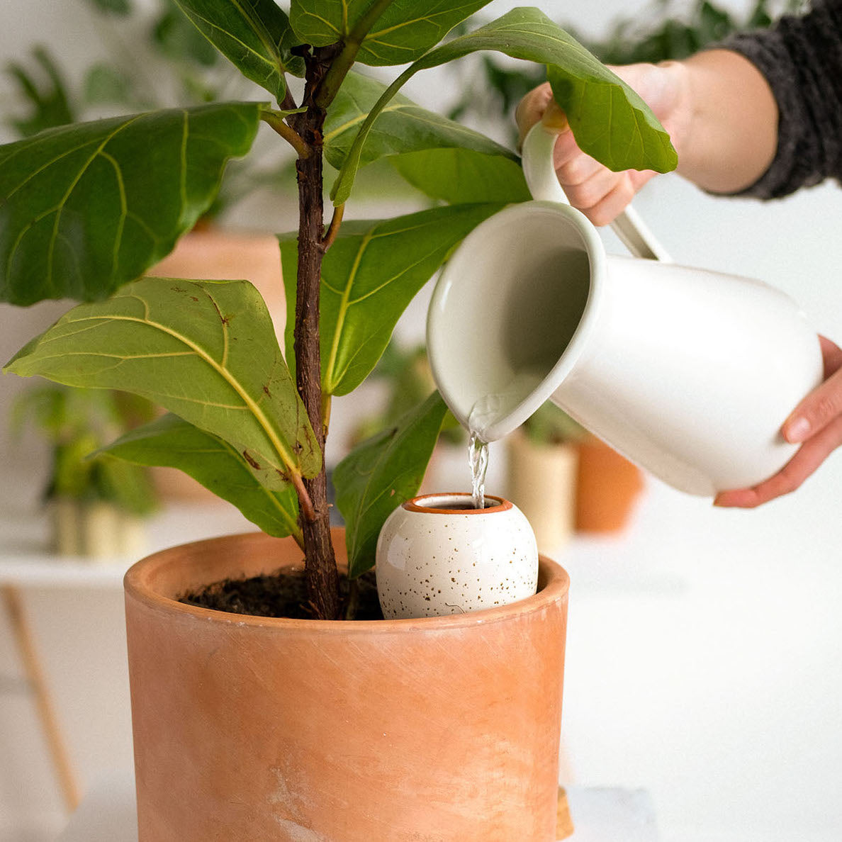 SPRINKLED | Olla Wasserspender