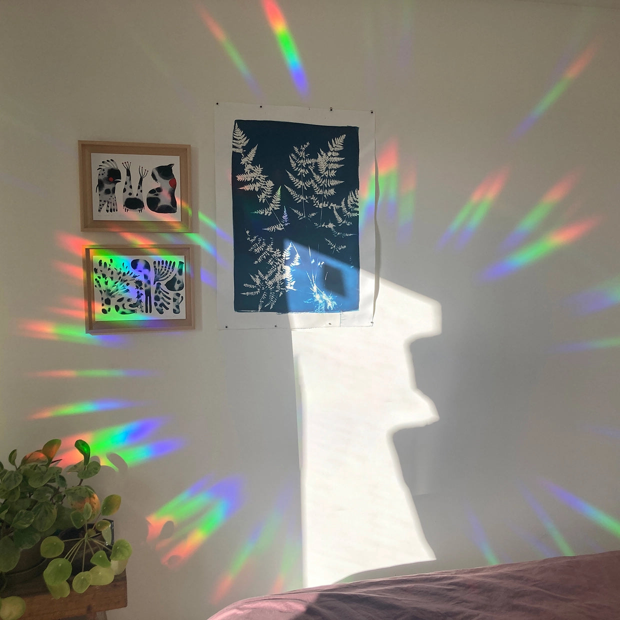 RAINBOW | Suncatcher Sticker für Regenbögen