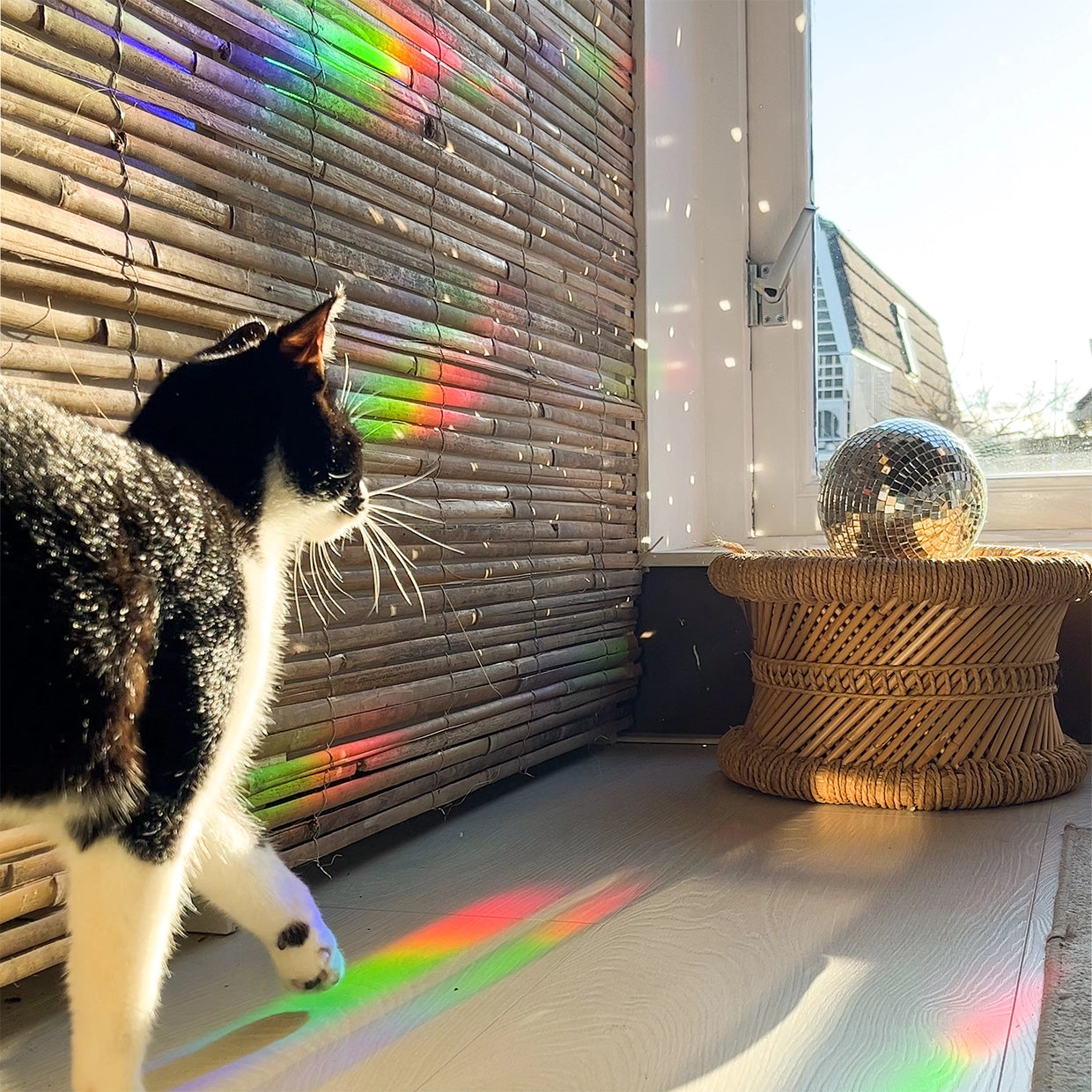 RAINBOW | Suncatcher Sticker für Regenbögen