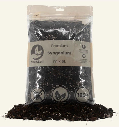 SYNGONIUM MIX 5L | Substrat für Syngonien