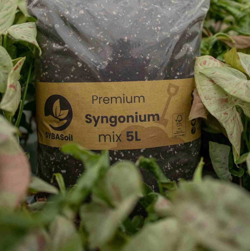 SYNGONIUM MIX 5L | Substrat für Syngonien