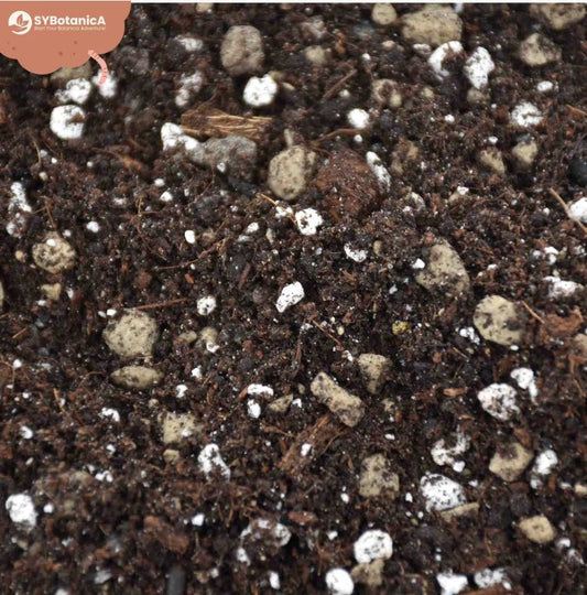 SYNGONIUM MIX 5L | Substrate for Syngony & Pilea