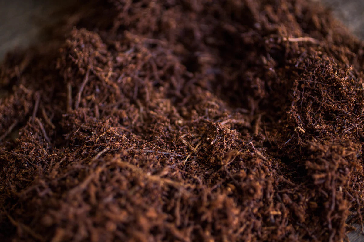 TREE FERN FIBER 8,5L | Baumfarnfasern von Plantscraper