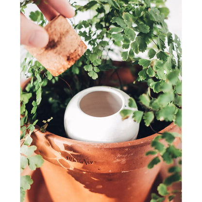 KORALLENROSA | Olla Wasserspender
